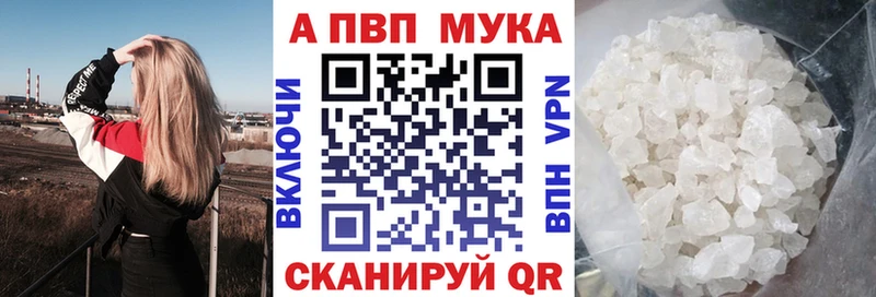 A PVP СК  Камешково 