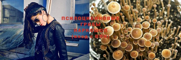 амф Новодвинск