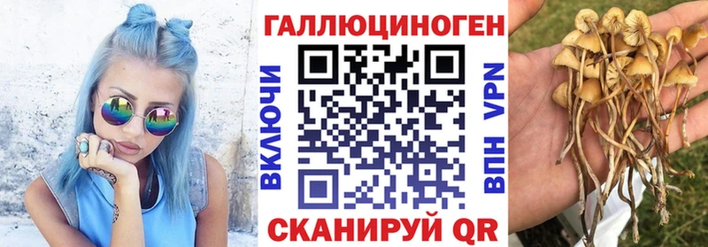 Псилоцибиновые грибы прущие грибы Камешково